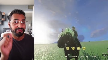 Horses From BOTW Transfer To TOTK