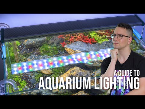 A Guide to Aquarium Lighting for Planted Tanks | EP6 Planted Tank Overview