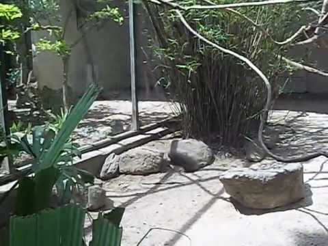 Zoo em Itatiba 06-10-12 - YouTube