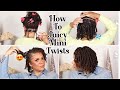 How To Do MINI TWISTS On Natural Hair As A Protective Style - For Hair Growth! No Added Hair