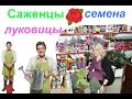 Покупки с сайта " Ozon.ru". Саженцы, луковицы и семена из Садового центра.