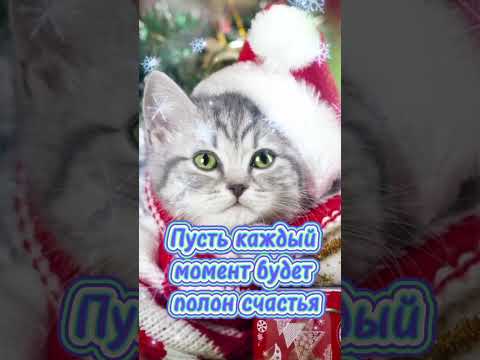 Счастливого Рождества 🎄 С Рождеством Христовым! Видео открытка с Рождеством!