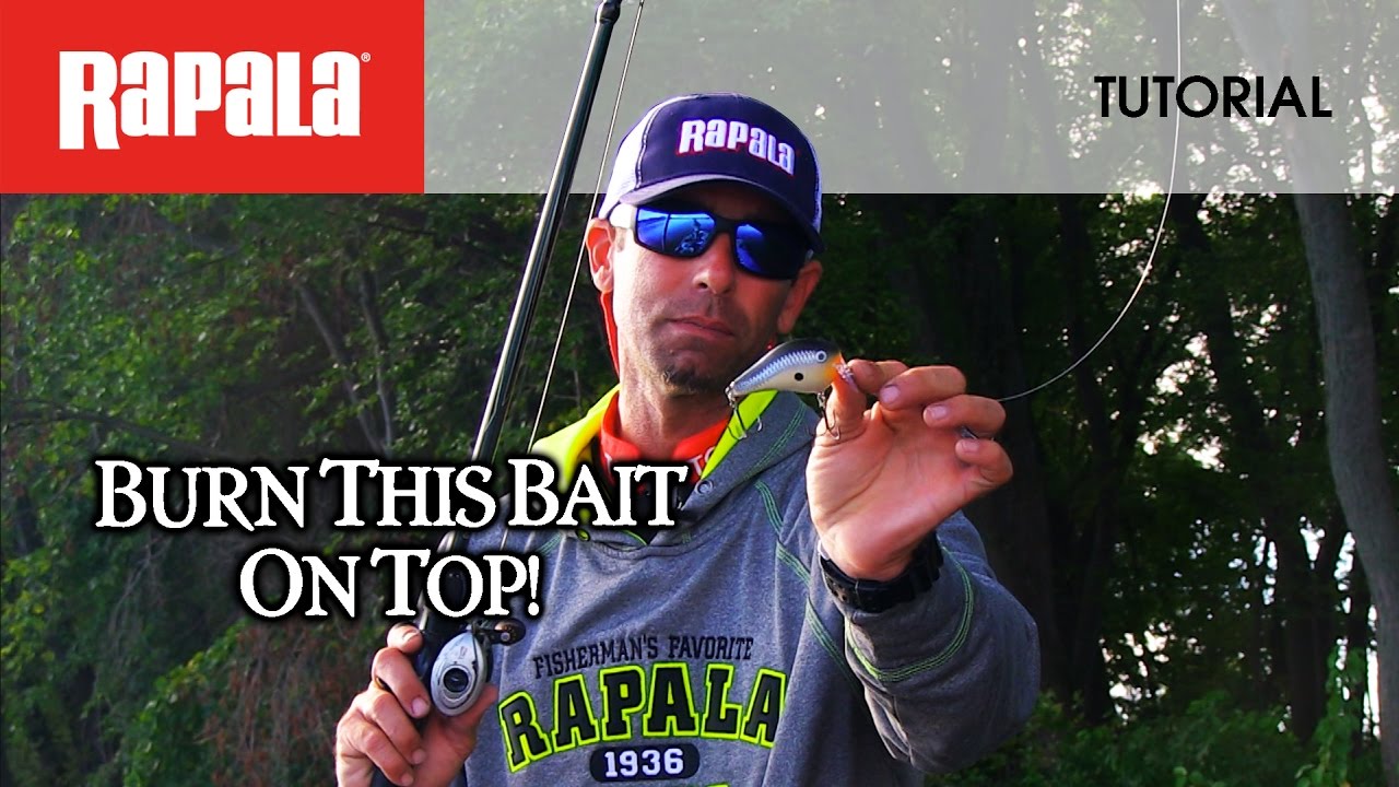 The Rapala® DT® Fat 01: HOW TO FISH 