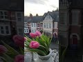 Весна в чайнике🥰 Дерби, UK