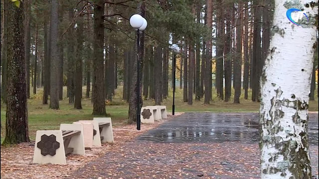 Погода на месяц хвойная новгородская. Посёлок Хвойная Новгородская область. Кладбище в Хвойной Новгородской области. Пос хвойный Чита. Лето поселок Хвойная Новгородская область.