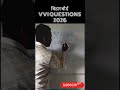 बिहार बोर्ड VVI MATHS QUESTION 2026 #shortvideo #shorts #shortsfeed #ncertmathsclass10biharboard
