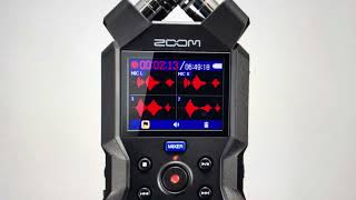 Hard Reset Zoom H4Essential Recorder