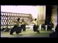 Aikido  randori  multiple attackers  mitsugi saotome shihan