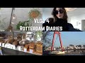 Living alone diaries Netherlands | Uni, wine chats, life update, & PMS