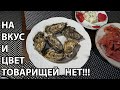 Ездим по делам  Заскочили к Ларисе Цукановой  Едим устрицы