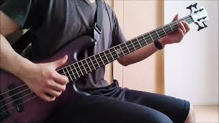 Red Hot Chili Peppers - Higher Ground (Bass Cover)