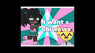 I Want A Chiwawa Collab With