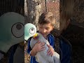 Meet Dorito the Chicken with THE PIGEON #youtubehsorts #thepigeon #backyardchickens #funforkids