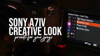 SONY A7IV CREATIVE LOOK | Comparing Different Creative Look screenshot 5