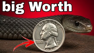 5 RAREST State Quarters Worth $65,000+ Revealed! Hidden U.S. Treasure Coins You Won’t Believe 😲