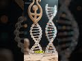 Were the Sumerians the First Medical Scientists?