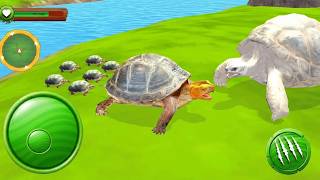Wild Turtle Family Games - Animal Simulator Gameplay screenshot 5