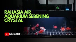 Susunan media filter aquarium untuk ikan mas koki