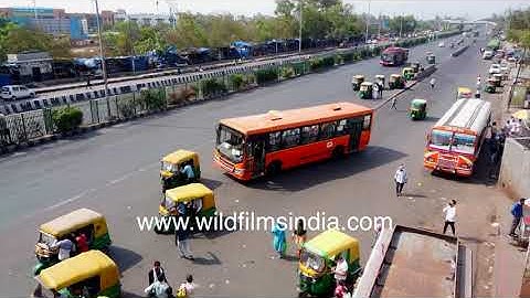 Anand Vihar Bus Terminal ISBT for Delhi: pink CNG buses and Covid lockdown time low human traffic