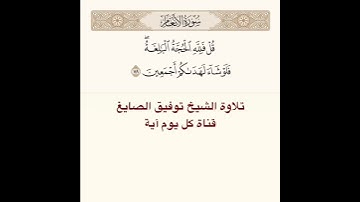 #تلاوة #الشيخ توفيق الصايغ من #سورة الأنعام
