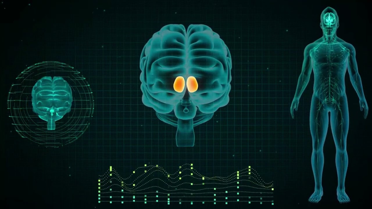 Car Safety:  Past, Present, Future. 