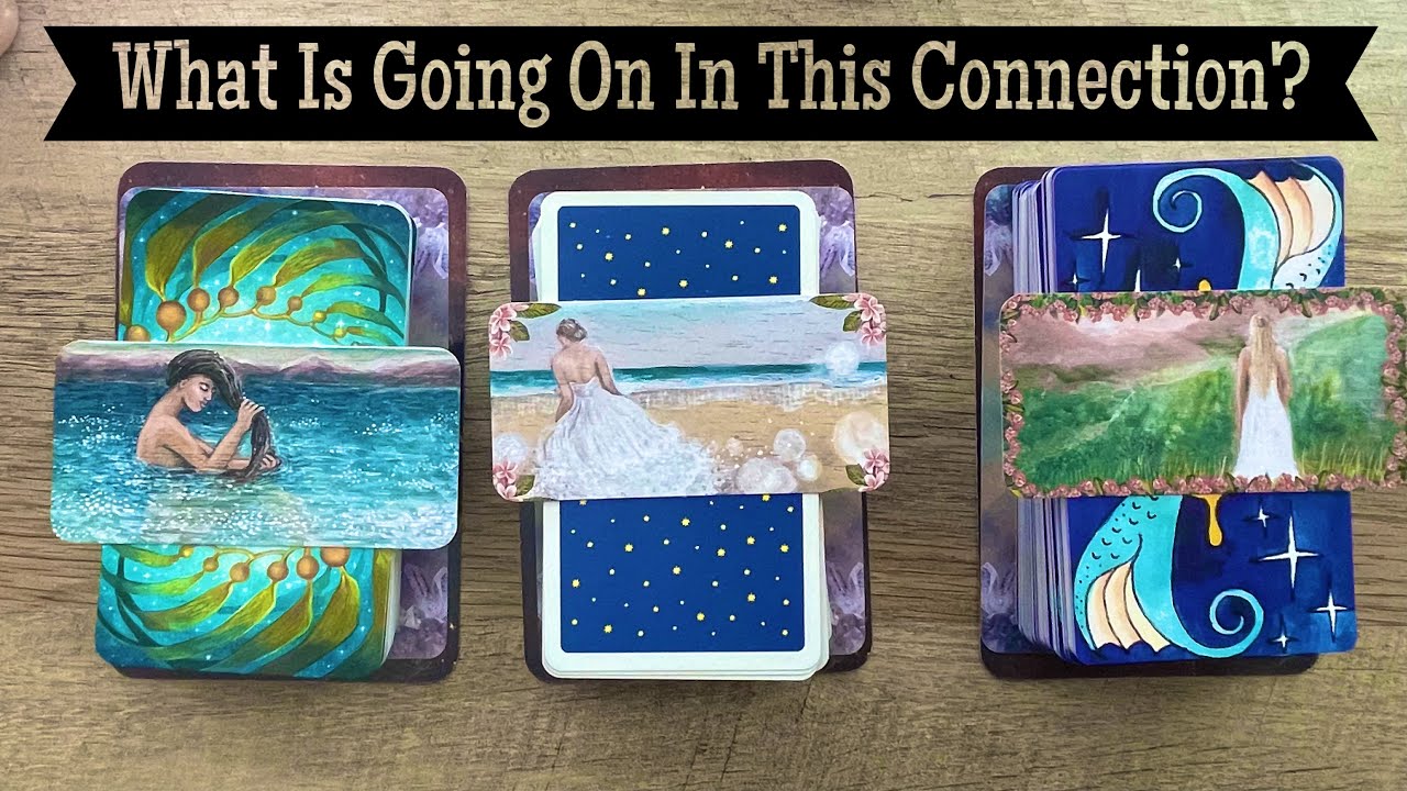 Pick A Card. What Is Going On In This Connection? What Do You Need To Know? Timeless Love Reading.
