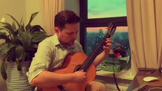Pat Metheny The Past in Us (classical guitar cover)