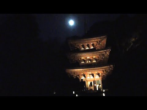 JR関西本線を利用して、浄瑠璃寺夜間特別拝観コースに参加(夕食はレストランやましろで) 2025.1.13