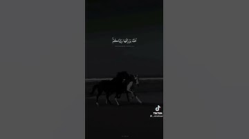 سورة العنكبوت وكأين من دابة لاتحمل رزقها الله يرزقها وإياكم
