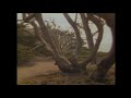 Miniature de la vidéo de la chanson Faces Of The Forest Part 1