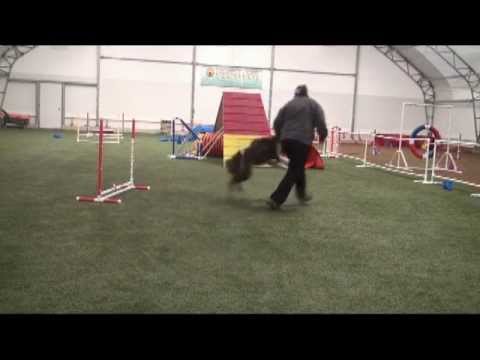 Echo Gee and Dig 2-28-12.mp4