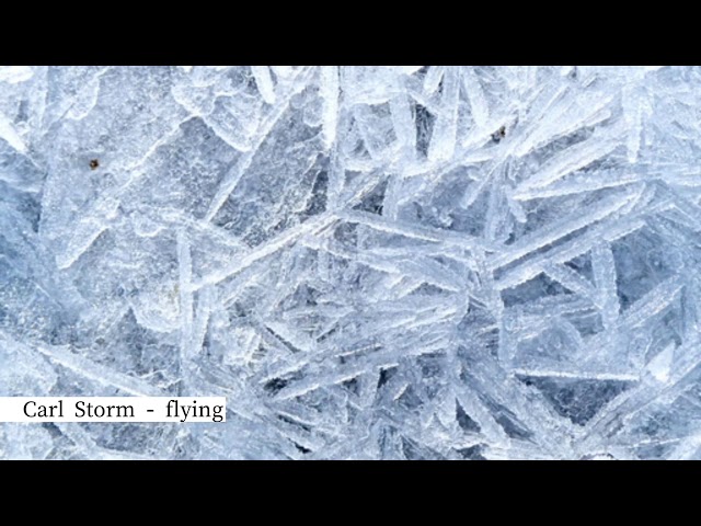 Flying / Carl Storm