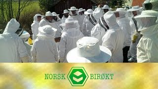 Temperatur Og Ventilasjon I Kuben