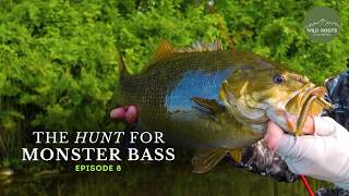 Back-alley Bass Adventure | Wild Roots