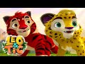 Leo e Tig 🔴 Aventuras na floresta 🔴 LIVE 🔴 Desenho Infantil ⭐  Desenhos Animados Para Crianças