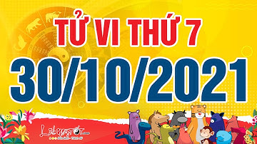 Xem tử vi hàng ngày - Tử vi Thứ 7 ngày 30 tháng 10 năm 2021 của 12 con giáp AI TIỀN VỀ ĐẦY TÚI