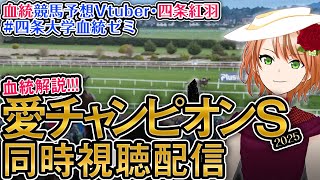 四条紅羽の配信のサムネイル画像