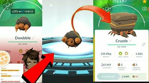 dwebble evolution ! dwebble evolves into crustle ! dwebble evolves😱 dwebble pokemongo #ritiksahu0987