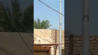 ارهاب الكهرباء في العراق شاهد كيف تنفجر الكيبلات