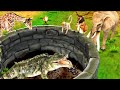 बड़ा मगरमच्छ जाल Giant Crocodile Trap Magarmach Ka Jaal Kahani - Moral Stories in Hindi Kahaniya