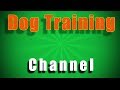 How Dog Training Works with Smart Dog Training Ideas Free How Dog Training Works with Smart Dog Training Ideas Free
