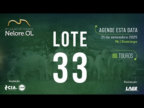 LOTE 33 V90845 - 19º Leilão de Touros Nelore OL