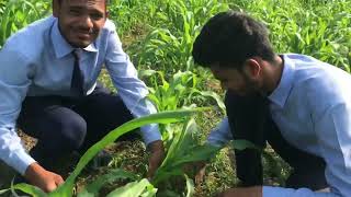 LiFe of Agriculture Students || 2nd Vlog || #weedingshoot || BSC agri