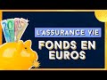 Fonds euro en assurance vie  garanti ou pas 