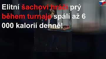 Kolik kalorií spálí šachy?