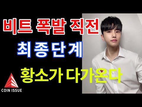 비트코인 폭발직전 최종단계 황소가 다가온다 