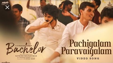 pachigalam Paravaigalam (Video Song)| Bachelor | GV Prakash Kumar , Sathish Selvakumar ,G Dillibabu