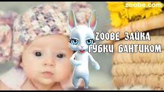 Zoobe Зайка, Губки Бантиком, Бровки Домиком)