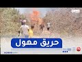 إندلاع حريق مهول بغابة تيارت ومواطنون يتدخلون لإخماده إندلاع حريق مهول بغابة تيارت ومواطنون يتدخلون لإخماده