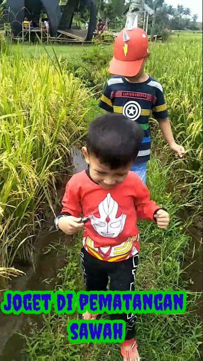 joget ditengah sawah#shorts#sawah#indonesia#alam#nusantara